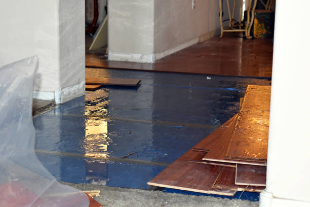 Professional Water Damage Restoration technician working in Elm City, NC